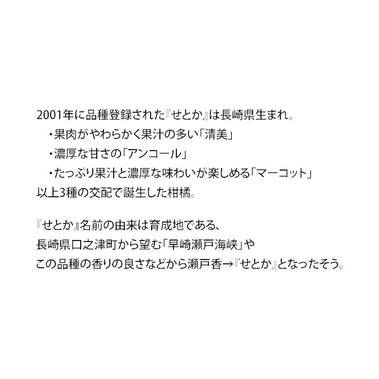 JA長崎せいひ『せとか』長崎県産 柑橘 S〜L 約2.5kg×2箱 産地箱 風袋込 キズ・スレ等あり※常温 送料無料｜tsukijiichiba｜03