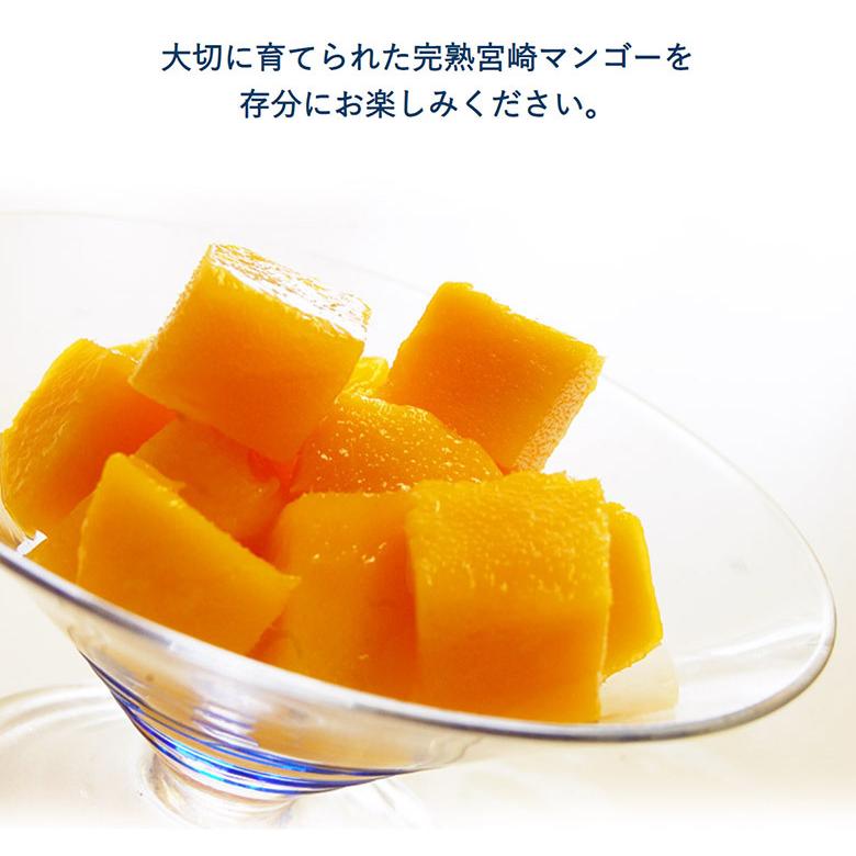 超大玉3L みやざき完熟マンゴー 宮崎県産 2玉（1玉:約450g）簡易箱