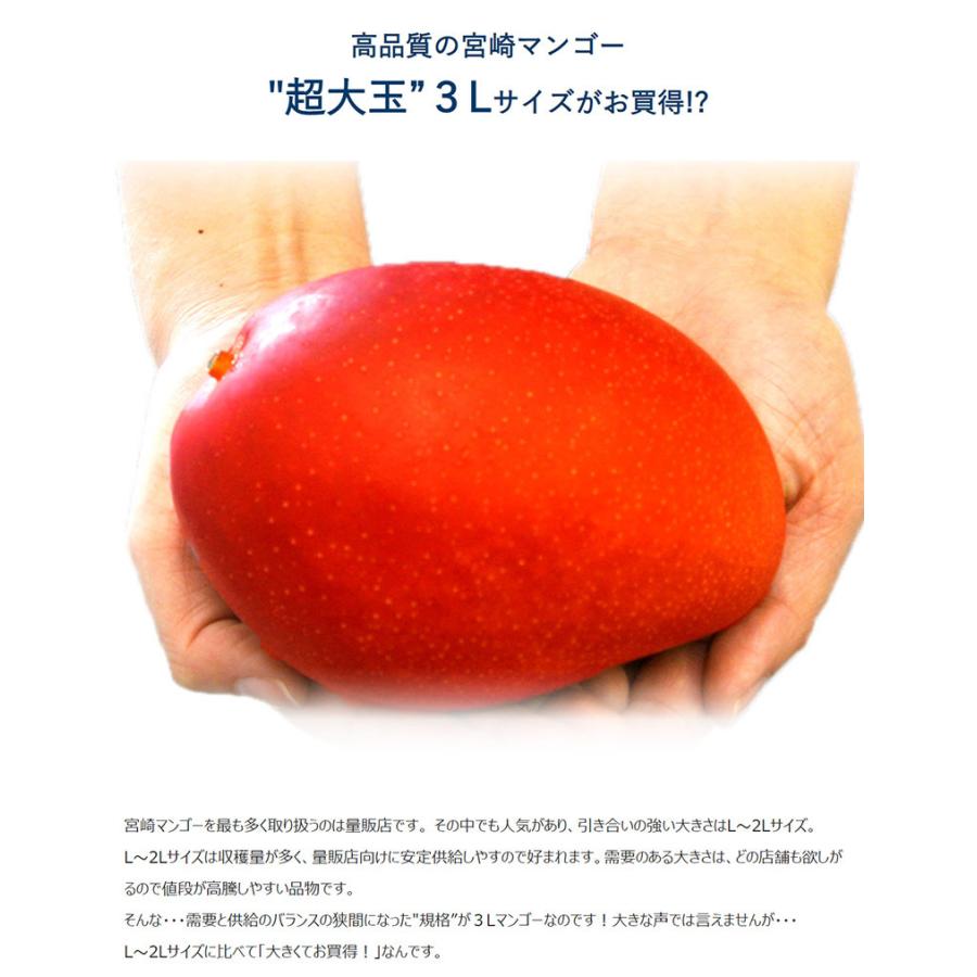 本日のオススメ 】 宮崎完熟 3Lのみ マンゴー 9玉約4.2k ※家庭用