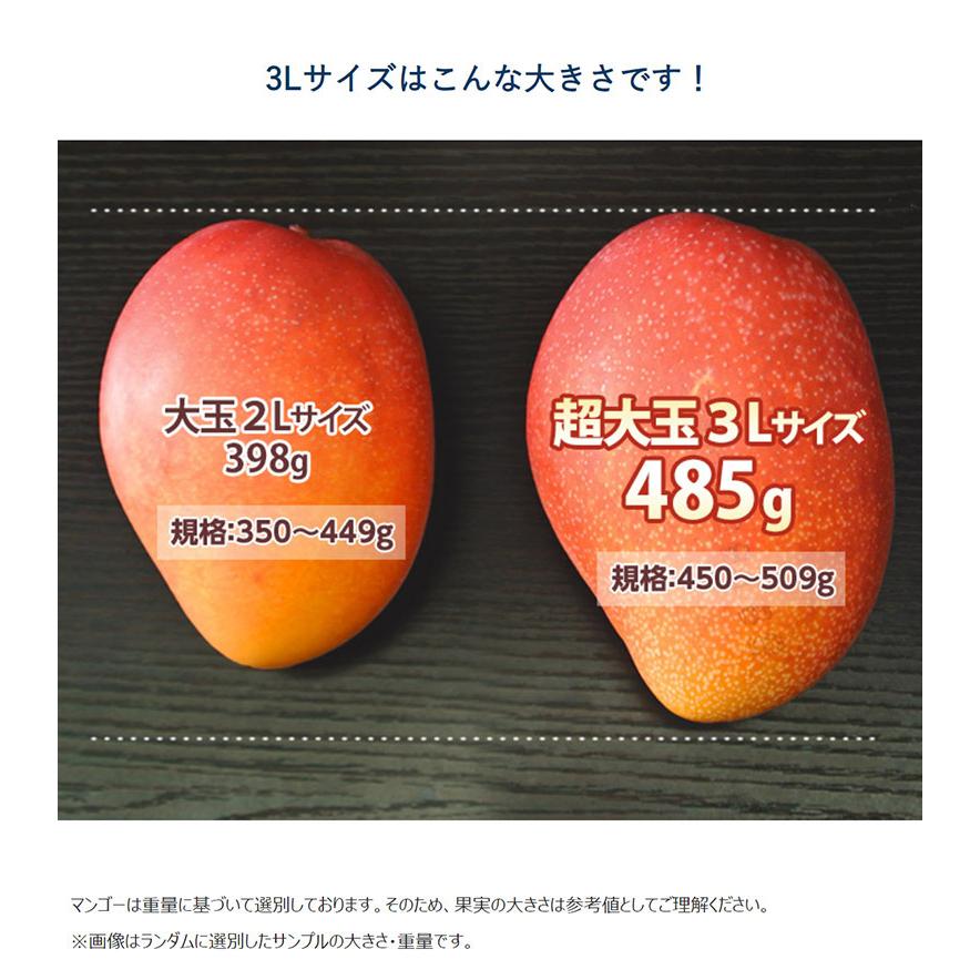 超大玉3L みやざき完熟マンゴー 宮崎県産 2玉（1玉:約450g）簡易箱