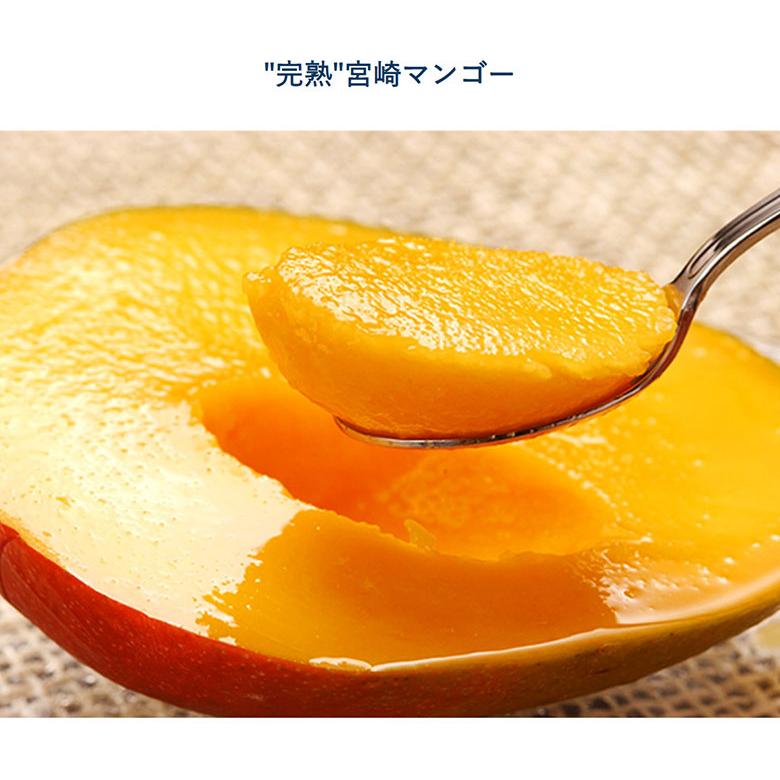 超大玉3L みやざき完熟マンゴー 宮崎県産 2玉（1玉:約450g）簡易箱