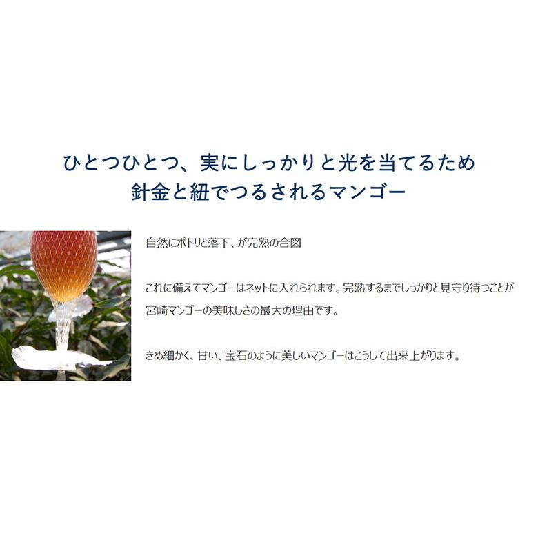 超大玉3L みやざき完熟マンゴー 宮崎県産 2玉（1玉:約450g）簡易箱