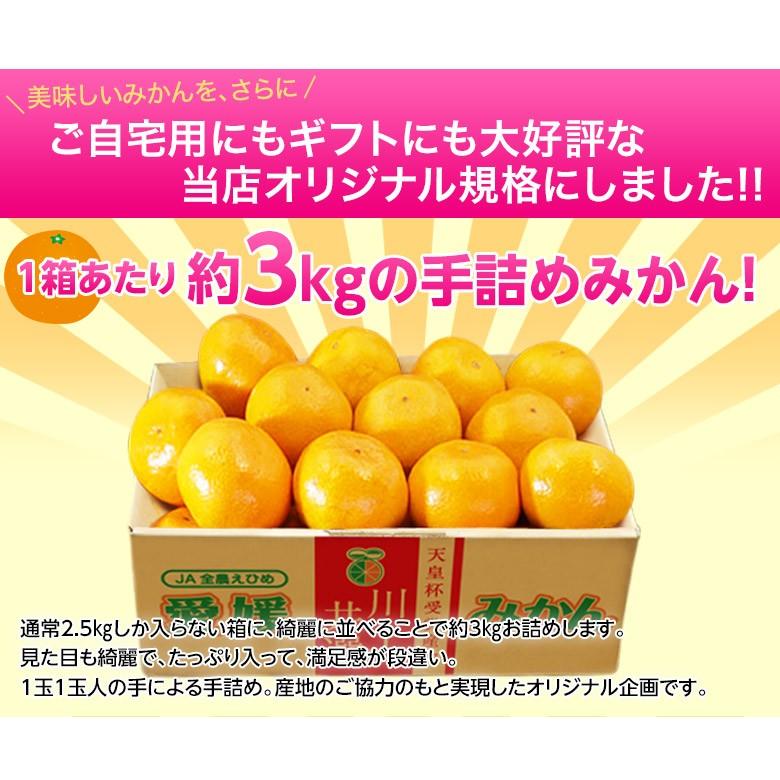 【カード又は代引き限定】【天皇杯受賞産地】JAにしうわ 愛媛 西宇和産 川上みかん 大玉2Lサイズ 約3kg×3箱 送料無料 ギフト お歳暮 みかん｜tsukijiichiba｜11