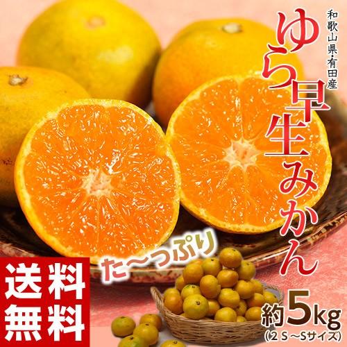 ゆら早生みかん」JAありだ 和歌山県有田産 約5kg S〜2Sサイズ （AQ共選
