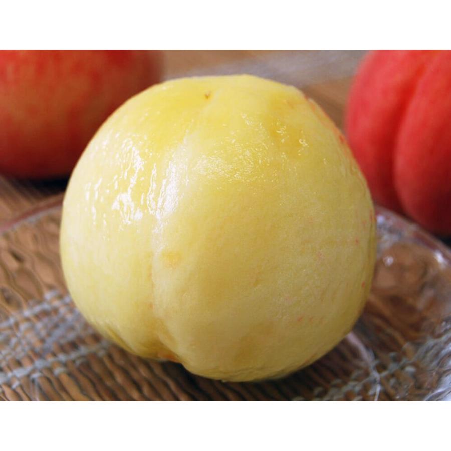紀の里の桃 和歌山産 特秀品 約2kg（6〜8玉）化粧箱 ※常温 送料無料 桃