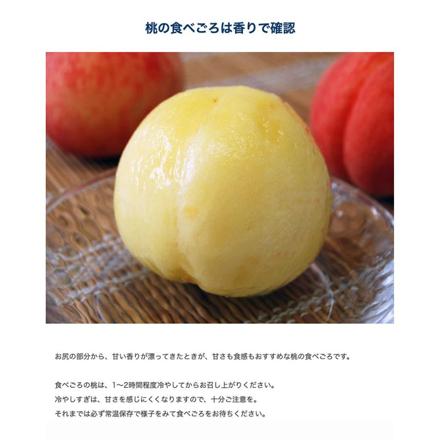 紀の里の桃 和歌山産 特秀品 約2kg（6〜8玉）化粧箱 ※常温 送料無料 桃
