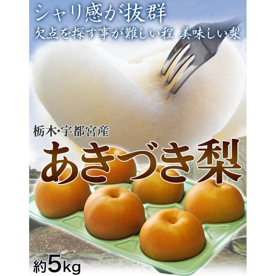 『あきづき梨』栃木県宇都宮産 約5kg（6〜10玉入）※冷蔵 送料無料｜tsukijiichiba｜02