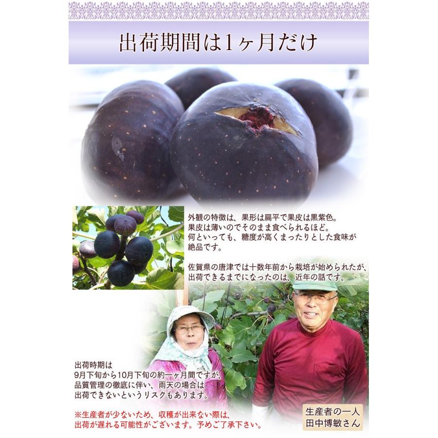 いちじく イチジク 黒いちじく 黒イチジク 佐賀県産