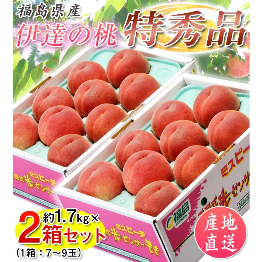 【カード代引き限定】桃 もも ギフト 伊達の桃　ミスピーチ 福島県産 特秀品 約1.7kg×2箱 (1箱：7〜9玉) ※常温 送料無料 お中元 2023｜tsukijiichiba｜02