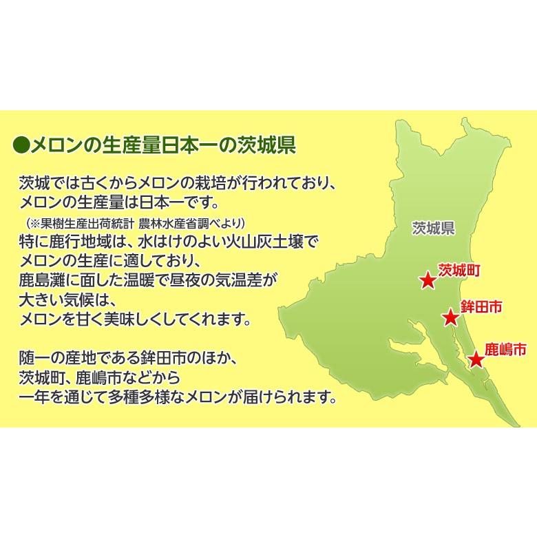 メロン 茨城産 貴味メロン 青肉 大玉 3 4玉 約4 5kg 送料無料 3b 豊洲からの直送便 ヤフー店 通販 Yahoo ショッピング