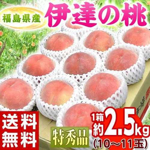 《送料無料》福島県産 伊達の桃 特秀品限定　10〜11玉 約2.5kg　frt☆｜tsukijiichiba