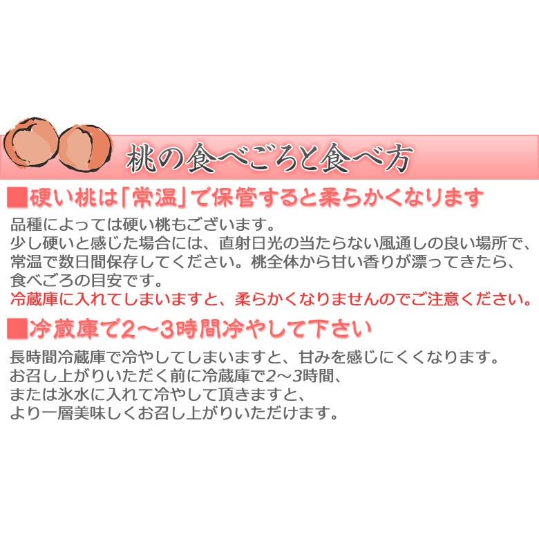 伊達の桃 ミスピーチ 『白桃＆黄桃セット』 福島県産 もも 各1.5kg×2箱 計約3kg 常温 送料無料　ふくしまプライド。体感キャンペーン（果物/野菜）｜tsukijiichiba｜05