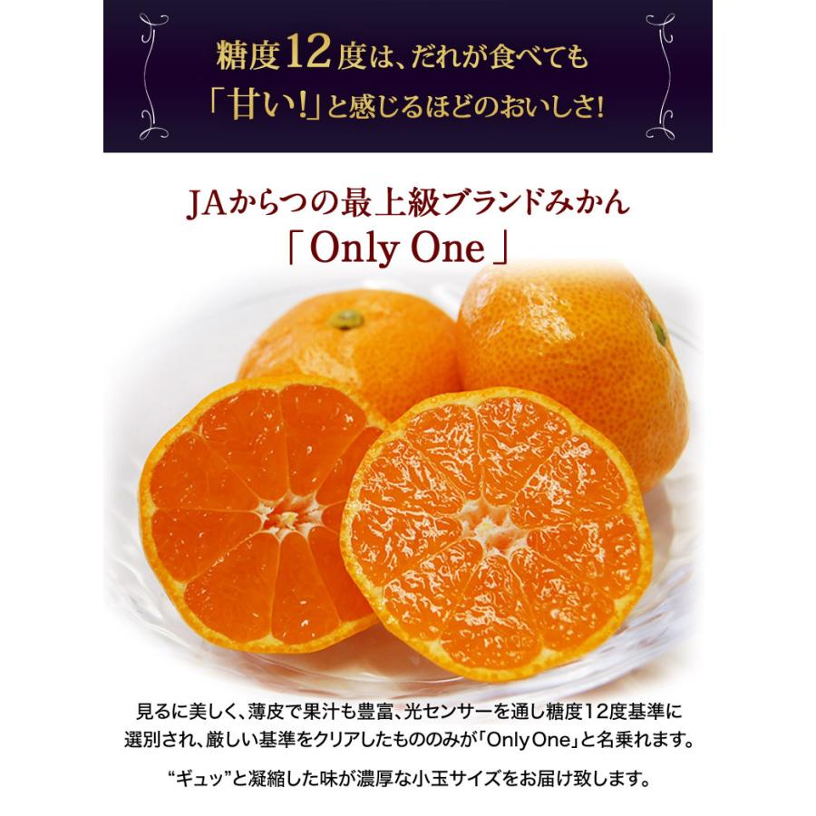 糖度12度選別 JAからつ みかん Only One 特秀品 約5kg S〜2S 糖度12度選別 JAからつ みかん Only One 特秀品 約5kg S〜2S