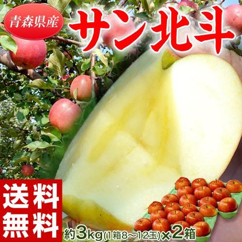 リンゴ りんご 林檎 サン北斗りんご 約3kg×2箱 (1箱：8〜12玉入り) 送料無料｜tsukijiichiba