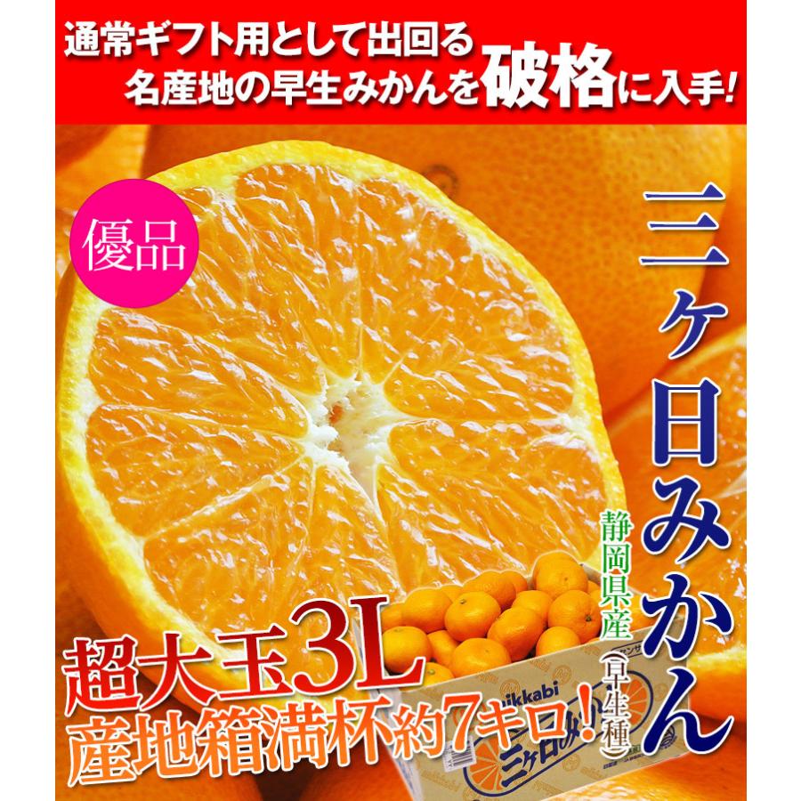 みかん ミカン 蜜柑 柑橘 静岡県 三ケ日 早生 約8kg 大玉 3l 送料無料 常温 3b 豊洲からの直送便 ヤフー店 通販 Yahoo ショッピング