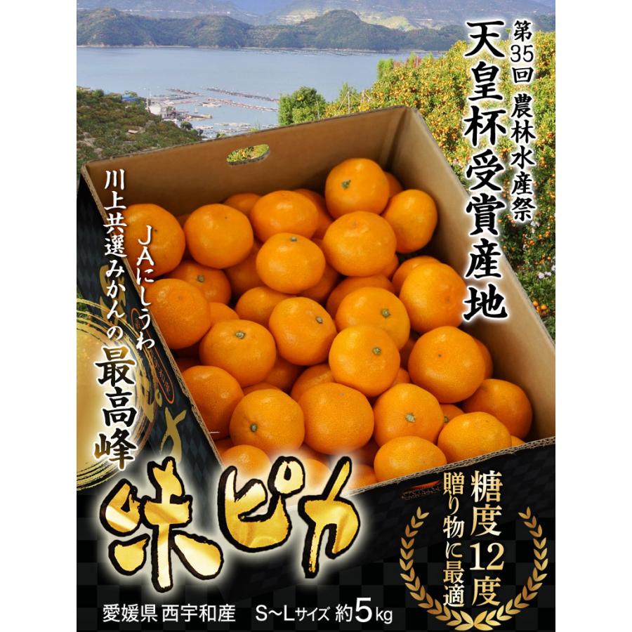 味ピカみかん Sサイズ 5キロ箱 1ケース 【公式通販】