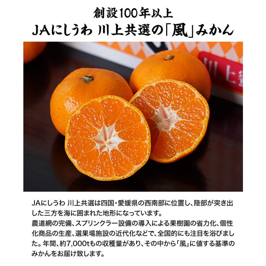 天皇杯受賞産地】風みかん 愛媛県産 川上共選 JAにしうわ 訳あり S〜L