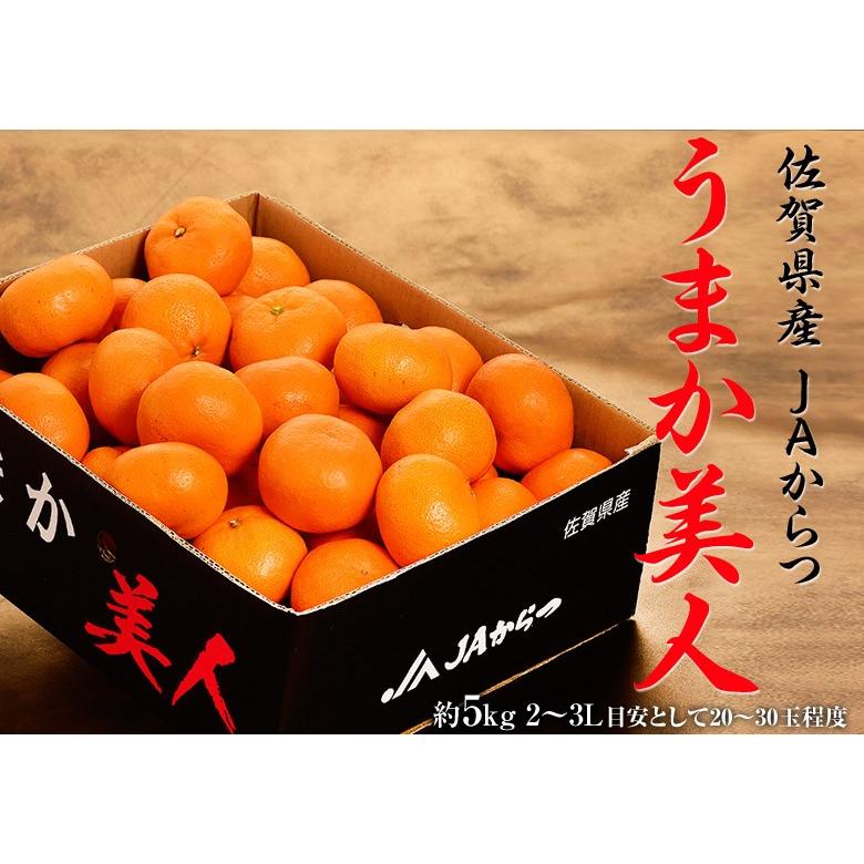 JAからつ 超大玉 うまか美人 佐賀県産 みかん 2L〜3L 約5kg 産地箱
