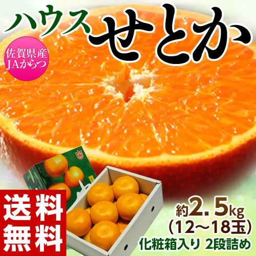 せとか 佐賀県産 柑橘 M〜Lサイズ 約2.5kg(12〜18玉)化粧箱 せとか 佐賀県産 柑橘 M〜Lサイズ 約2.5kg(12〜18玉)化粧箱