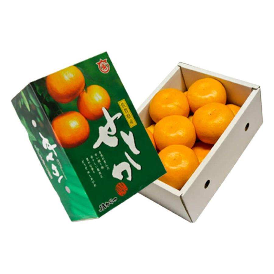 せとか 佐賀県産 柑橘 M〜Lサイズ 約2.5kg(12〜18玉)化粧箱 せとか 佐賀県産 柑橘 M〜Lサイズ 約2.5kg(12〜18玉)化粧箱