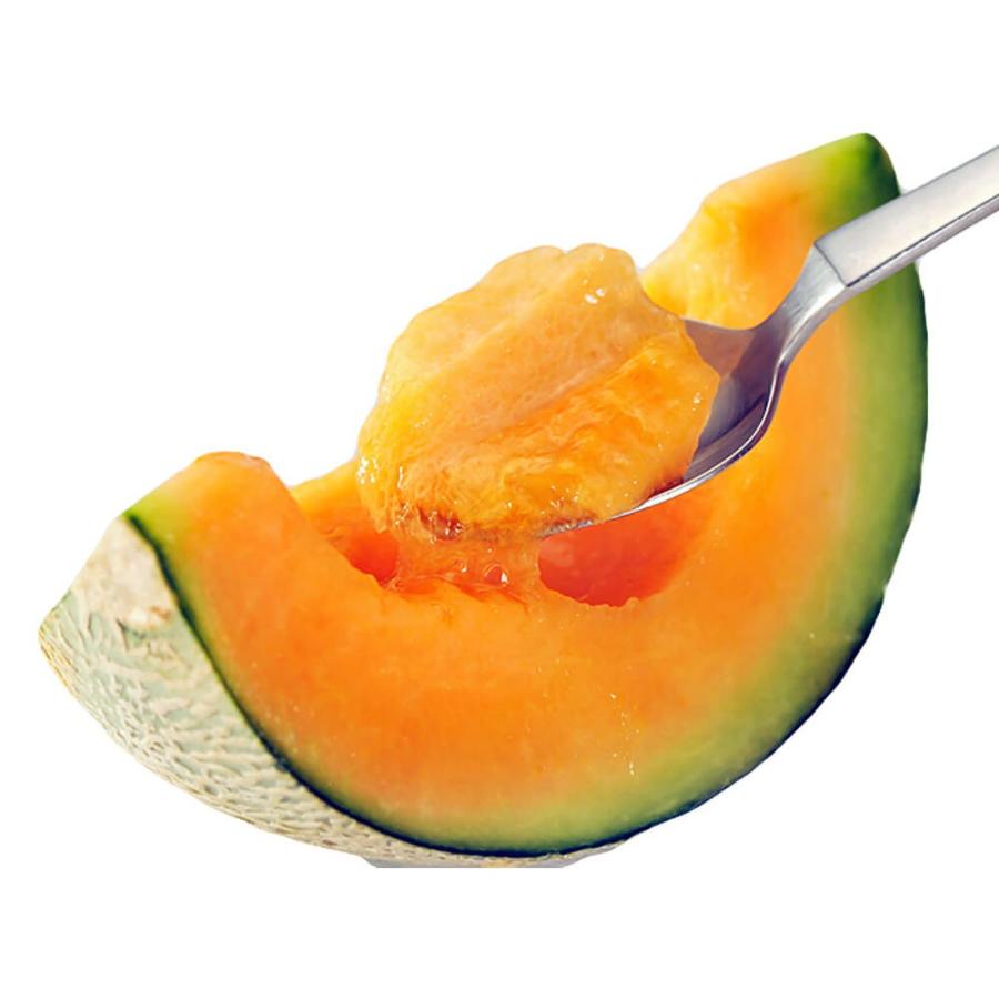 サンドリアメロン５玉入 サンドリアメロン5玉入送料 無料