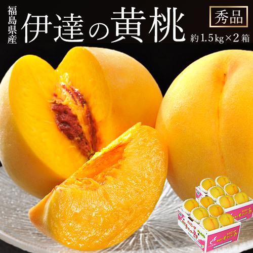 福島県産 『伊達の黄桃』 秀品 約1.5kg （5〜8玉） ×2箱 産地箱 ※常温 送料無料 ふくしまプライド。体感キャンペーン（果物/野菜）｜tsukijiichiba