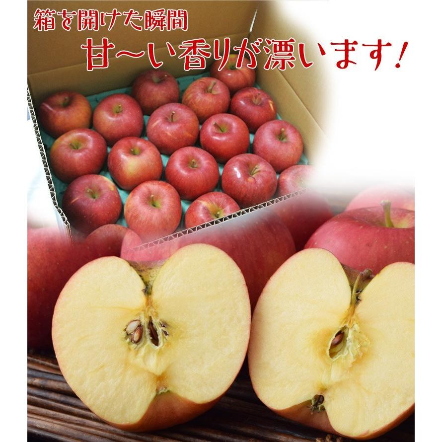 JA会津よつばのサンふじりんご 福島県産 約2.5kg（7〜12玉）秀品 ※常温