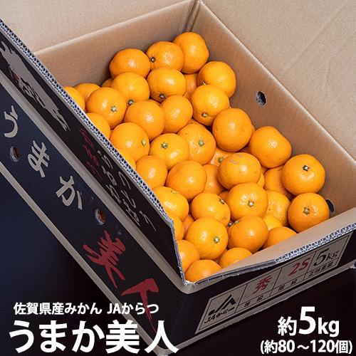 JAからつ 『うまか美人』 みかん 佐賀県産 超小粒(2S〜3S) 約5kg 目安