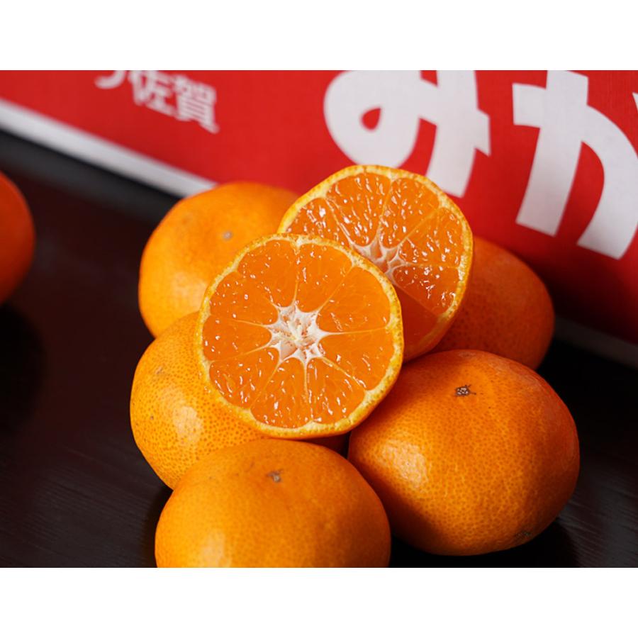 JAからつ 『うまか美人』 みかん 佐賀県産 超小粒(2S〜3S) 約5kg 目安