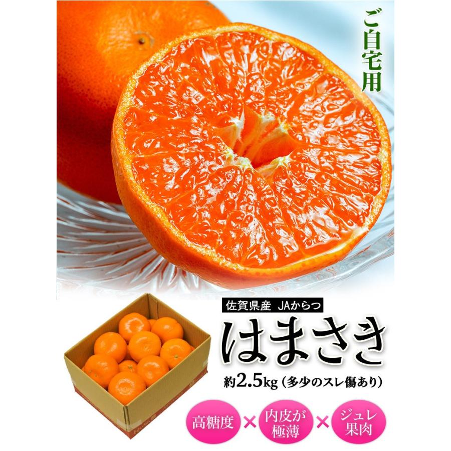 はまさき（ご家庭用）』佐賀県JAからつ産 柑橘 品種：麗紅 サイズ
