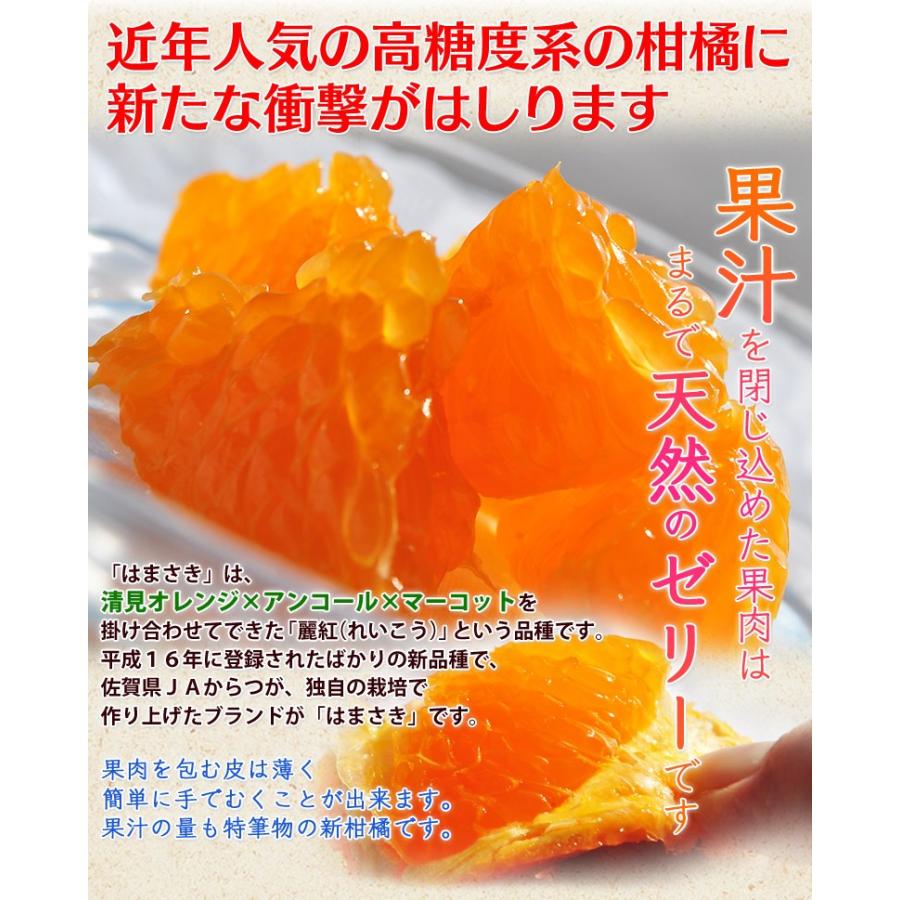 JAからつ『訳あり はまさき』佐賀県産 柑橘 キズ・スレあり・サイズ不揃い 約2.5kg 簡易包装 ※常温 送料無料｜tsukijiichiba｜05