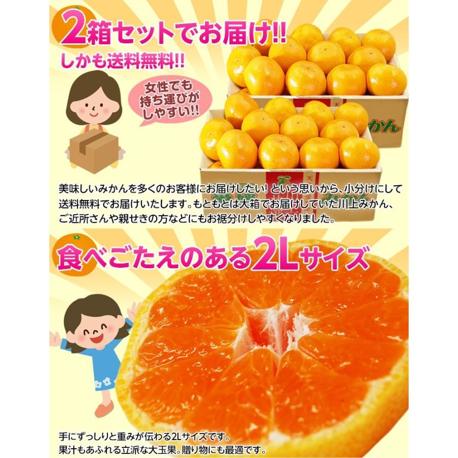 天皇杯受賞産地】JAにしうわ 愛媛 西宇和産 川上みかん 大玉2Lサイズ