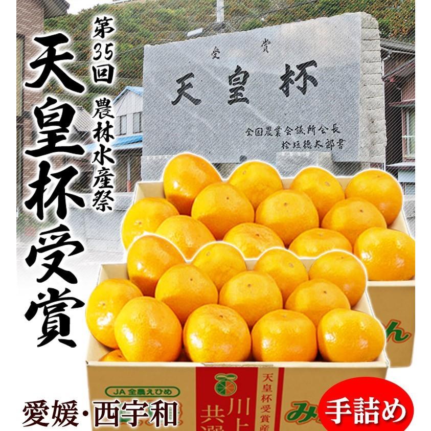 天皇杯受賞産地】JAにしうわ 愛媛 西宇和産 川上みかん 大玉2Lサイズ
