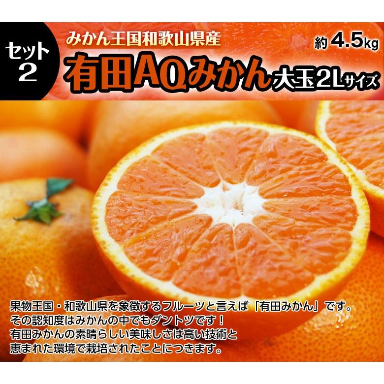 送料無料 みかん 紅まどんな福袋 合計約6.5kg！(紅まどんな 約2kg ＆ AQみかん ２L 約4.5kg)｜tsukijiichiba｜07