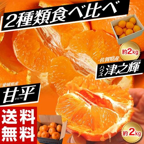 みかんに近い柑橘２種食べ比べ 愛媛県産 甘平約2kg 佐賀県産 津之輝約2kg 送料無料 3b1 豊洲からの直送便 ヤフー店 通販 Yahoo ショッピング