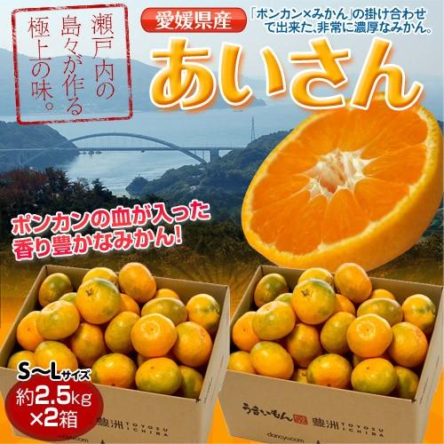 みかん 愛媛県産 あいさん S〜Lサイズ 約2.5kg×2箱 送料無料｜tsukijiichiba