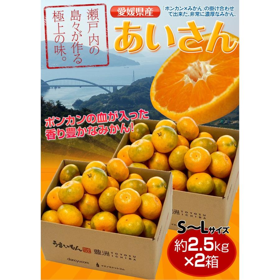 みかん 愛媛県産 あいさん S〜Lサイズ 約2.5kg×2箱 送料無料｜tsukijiichiba｜02