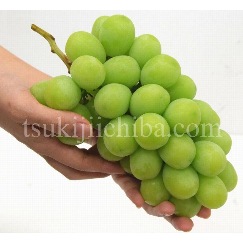 特大 シャインマスカット 1房 約700g 山梨県産 ※冷蔵 簡易梱包 送料