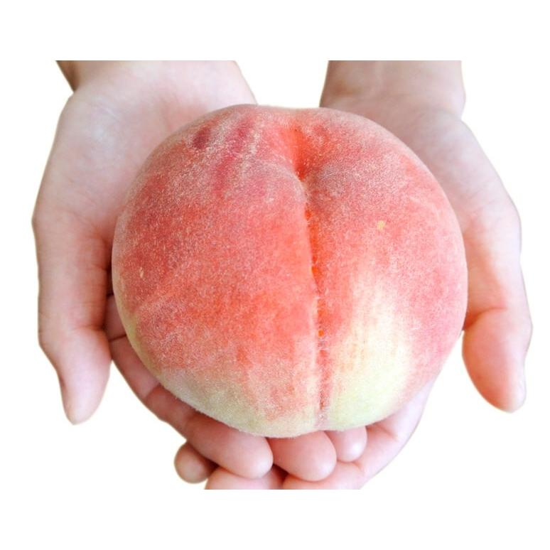 ≪送料無料≫産地規格・最大級サイズ『大玉もも』 山梨県産 約1.5kg(4