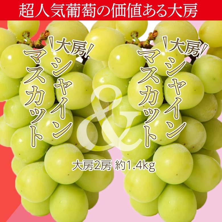 特大シャインマスカット 2房 山梨県産 計約1.4kg ※冷蔵 送料無料