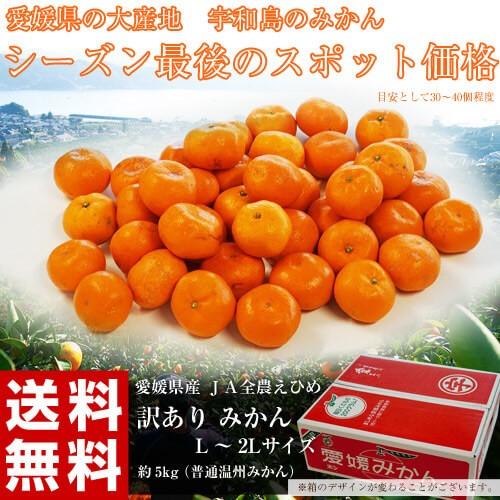 送料無料 愛媛県産 訳ありみかん L 2lサイズ 約5kg 3c 豊洲からの直送便 ヤフー店 通販 Yahoo ショッピング
