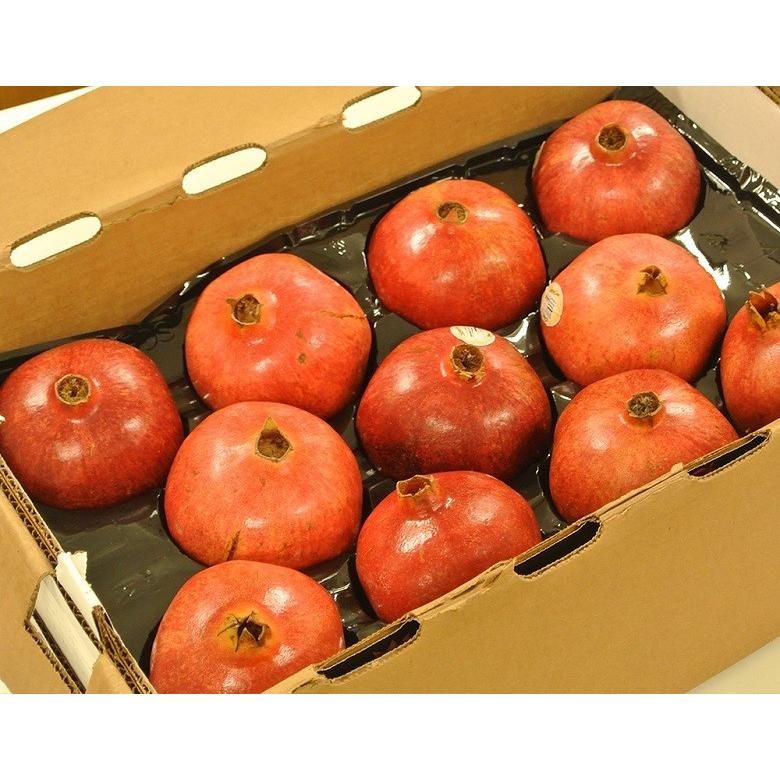 アメリカ産 ザクロ 産地箱 約5kg 11〜14玉入 ざくろ 柘榴 常温 送料  