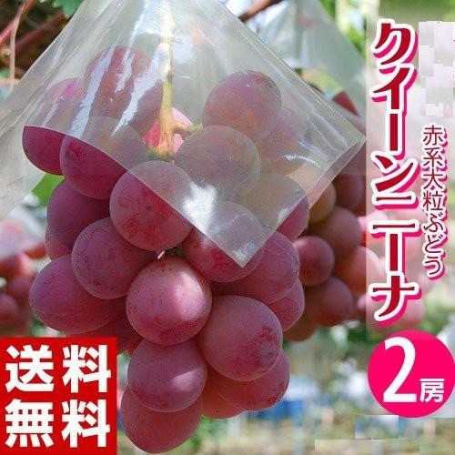 赤系 大粒ぶどう 『クイーンニーナ』長野県産 2房 計約900g ※冷蔵 送料