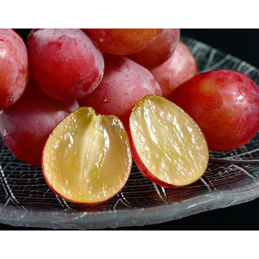 赤系 大粒ぶどう 『クイーンニーナ』長野県産 2房 計約900g ※冷蔵 送料