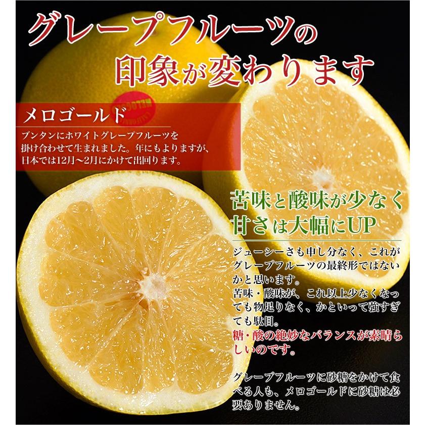 送料無料 アメリカ産 メロゴールド 9玉入 (1玉あたり500g前後)　合計約4.5kg｜tsukijiichiba｜02