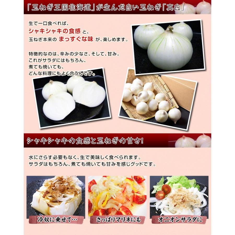 北海道北見産 玉ねぎ 真白 ましろ 化粧箱 不揃い S 2l 約3kg 冷蔵 3i 豊洲市場ドットコムヤフー店 通販 Yahoo ショッピング
