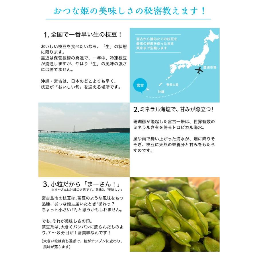 沖縄 宮古島市産 枝豆 おつな姫 約0g 2袋 冷蔵 えだまめ 3i 豊洲からの直送便 ヤフー店 通販 Yahoo ショッピング