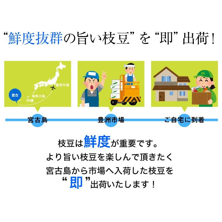 沖縄・宮古島市産　枝豆 おつな姫　約200g×2袋　 冷蔵　えだまめ｜tsukijiichiba｜04