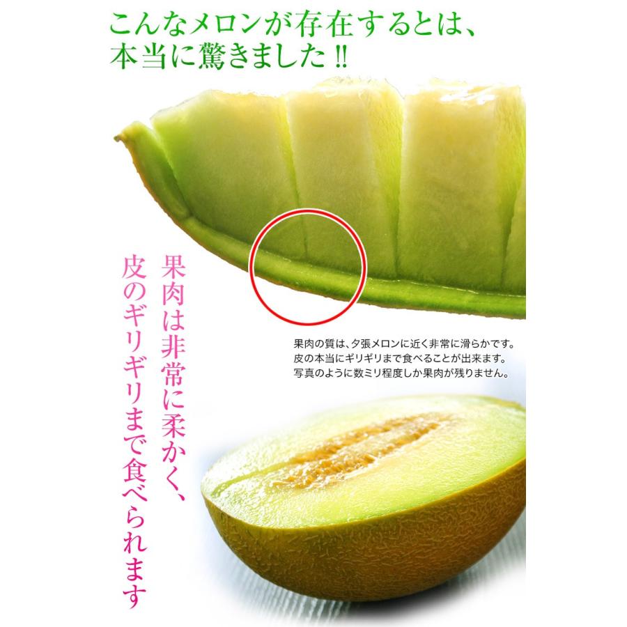 お中元 ギフト 贈答 青森県産 つがりあんメロン アムさん 秀品 2玉 1玉 約1 2kg 計約2 4kg 常温 産地直送 送料無料 3i 豊洲からの直送便 ヤフー店 通販 Yahoo ショッピング