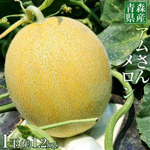 メロン『アムさん』 青森県産 つがりあんメロン 秀品 1玉 約1.2kg ※常温　産地直送 ギフト 贈答 お中元 送料無料｜tsukijiichiba